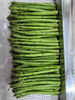 100% Natural Frozen Asparagus with GAP Certificate