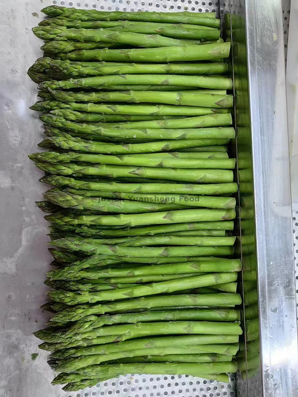 100% Natural Frozen Asparagus with GAP Certificate