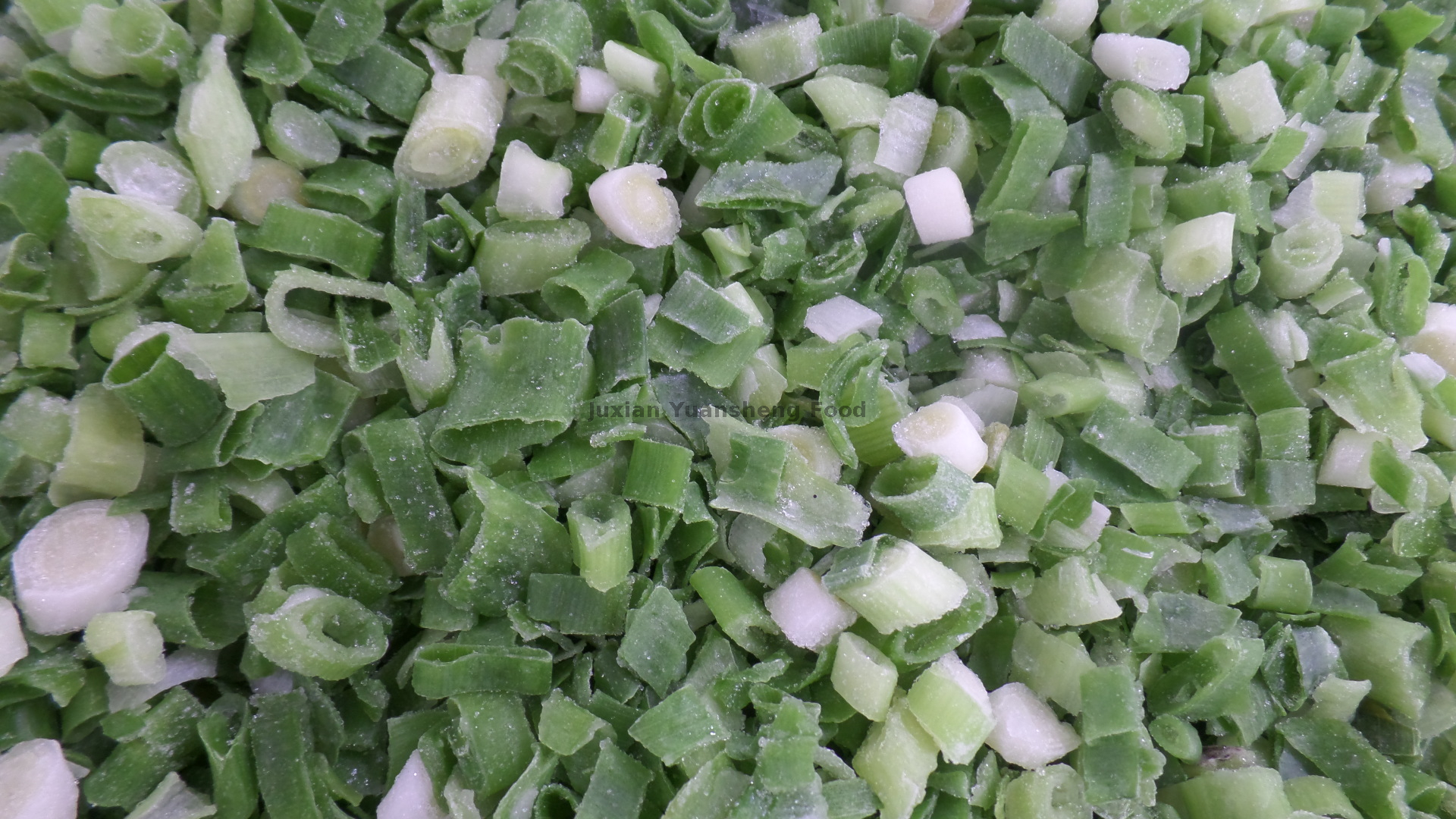 100% Natural Frozen Spring Onion Dice Wholesale From China