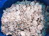 No preservatives Frozen Mushroom Grade A