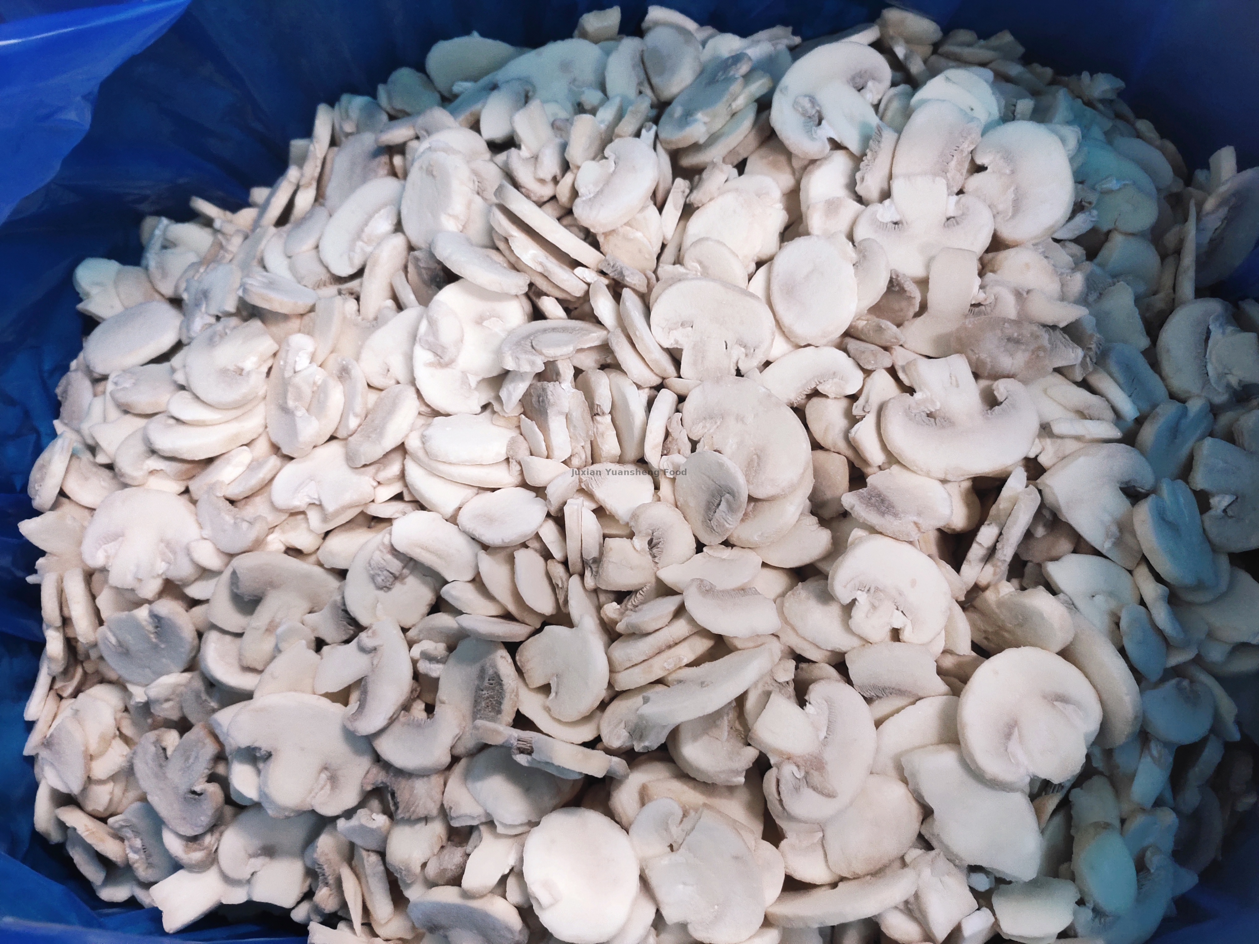 No preservatives Frozen Mushroom Grade A