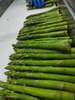  Non-GMO Frozen Green Asparagus 17cm 16-22mm with BRC Certificate