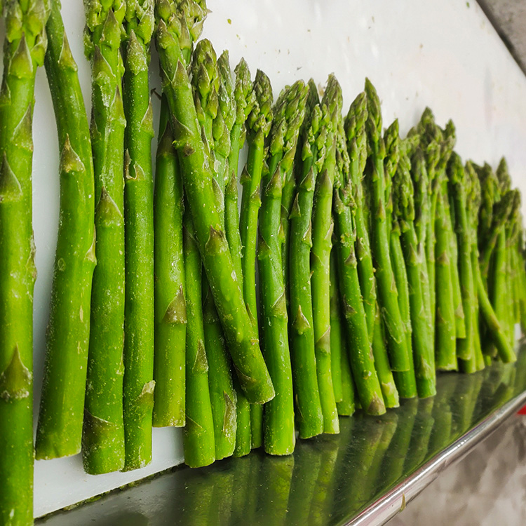 Wholesale Frozen Green Asparagus with High Quality