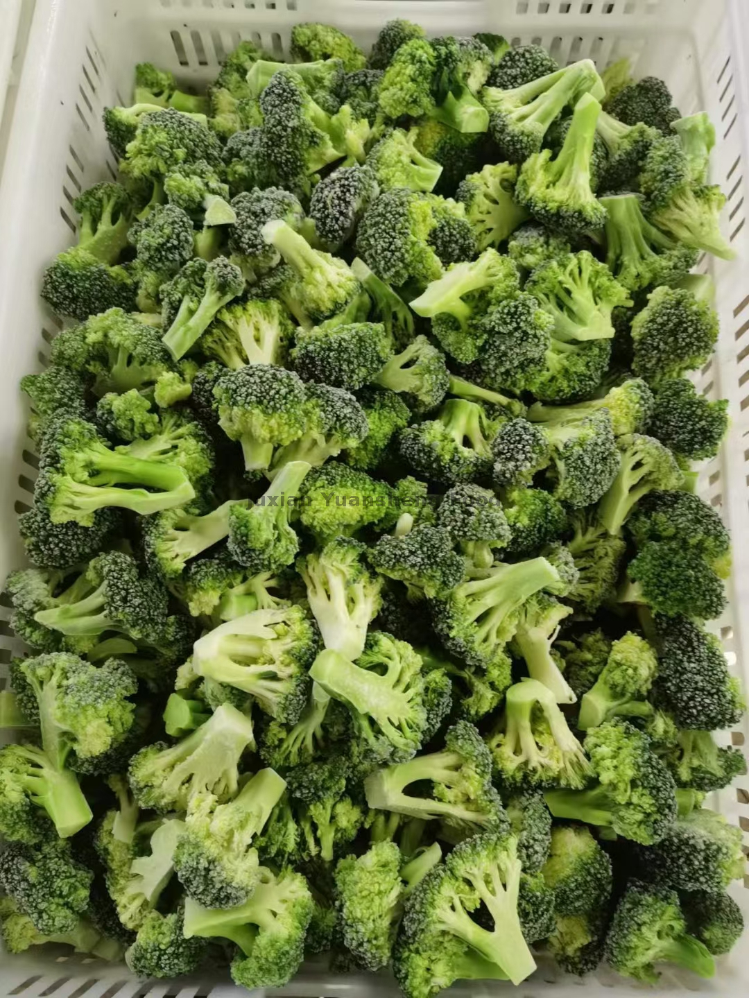 broccoli (4)