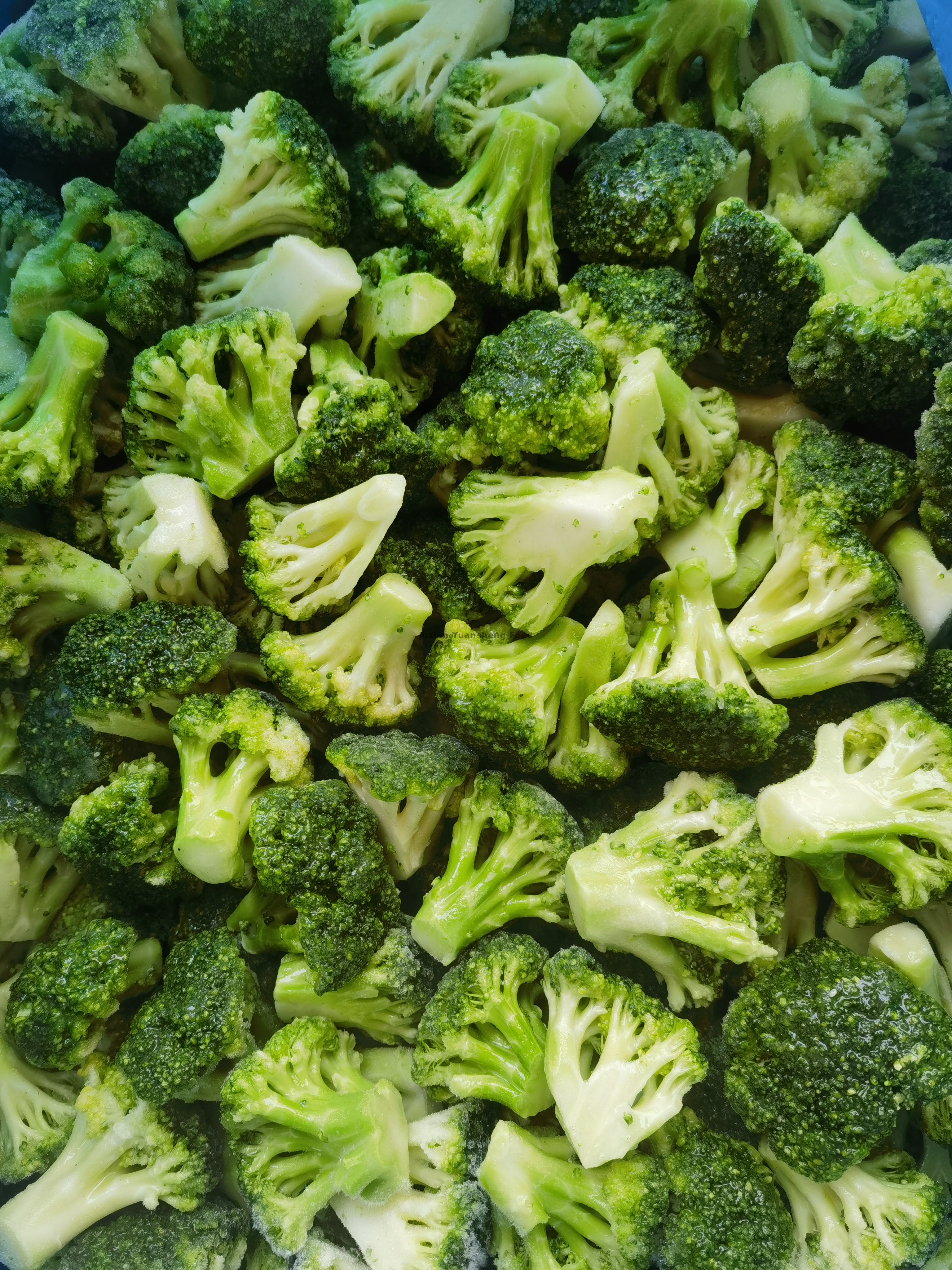 BRC Certification Frozen Broccoli Floret Rich in Nutrients Non-GMO