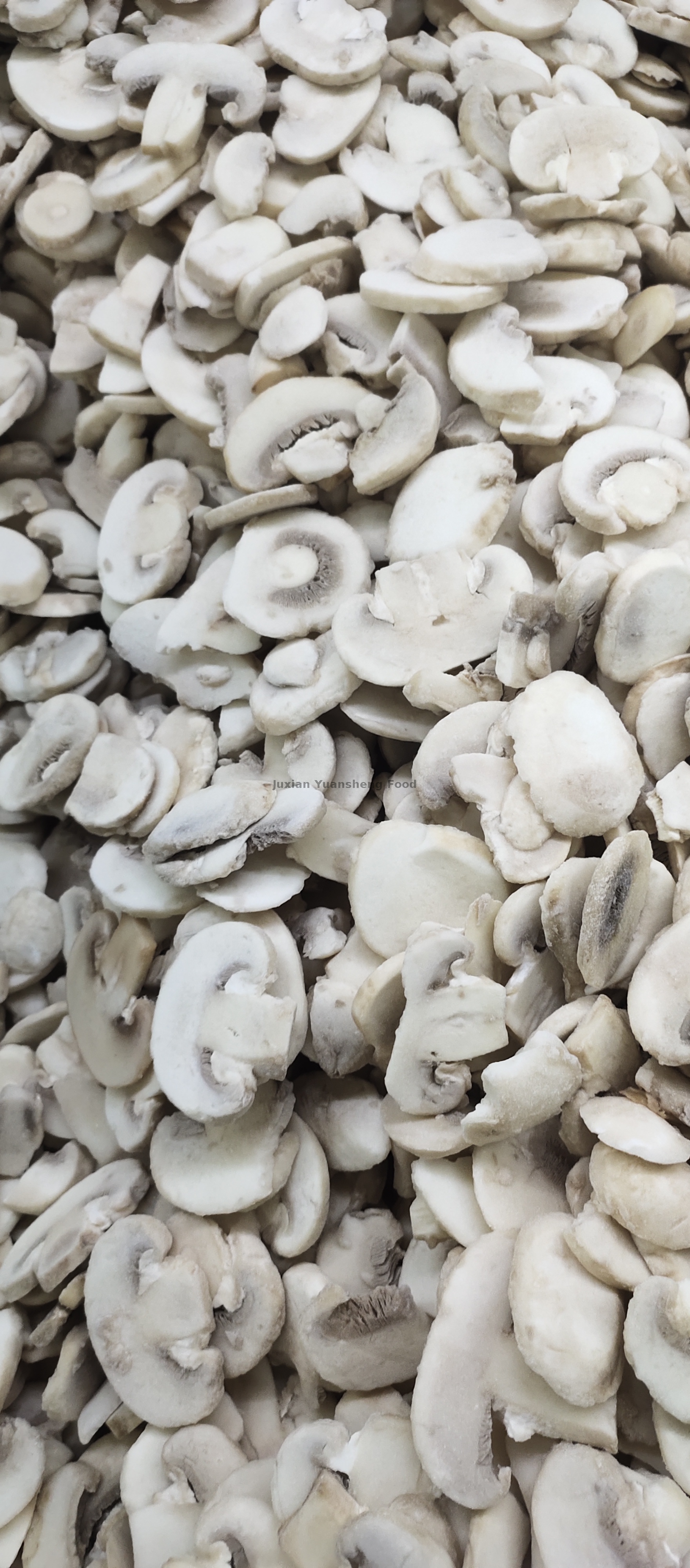 No preservatives Frozen Mushroom Grade A