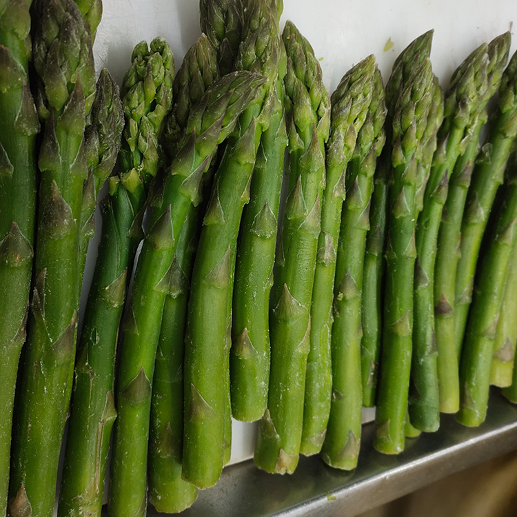 Wholesale Frozen Green Asparagus with High Quality