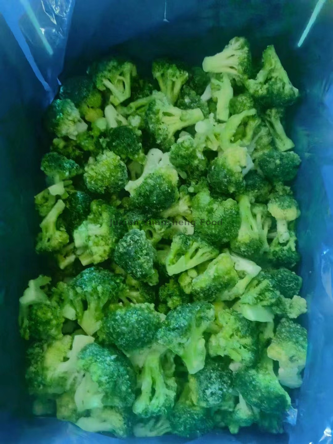 broccoli (5)