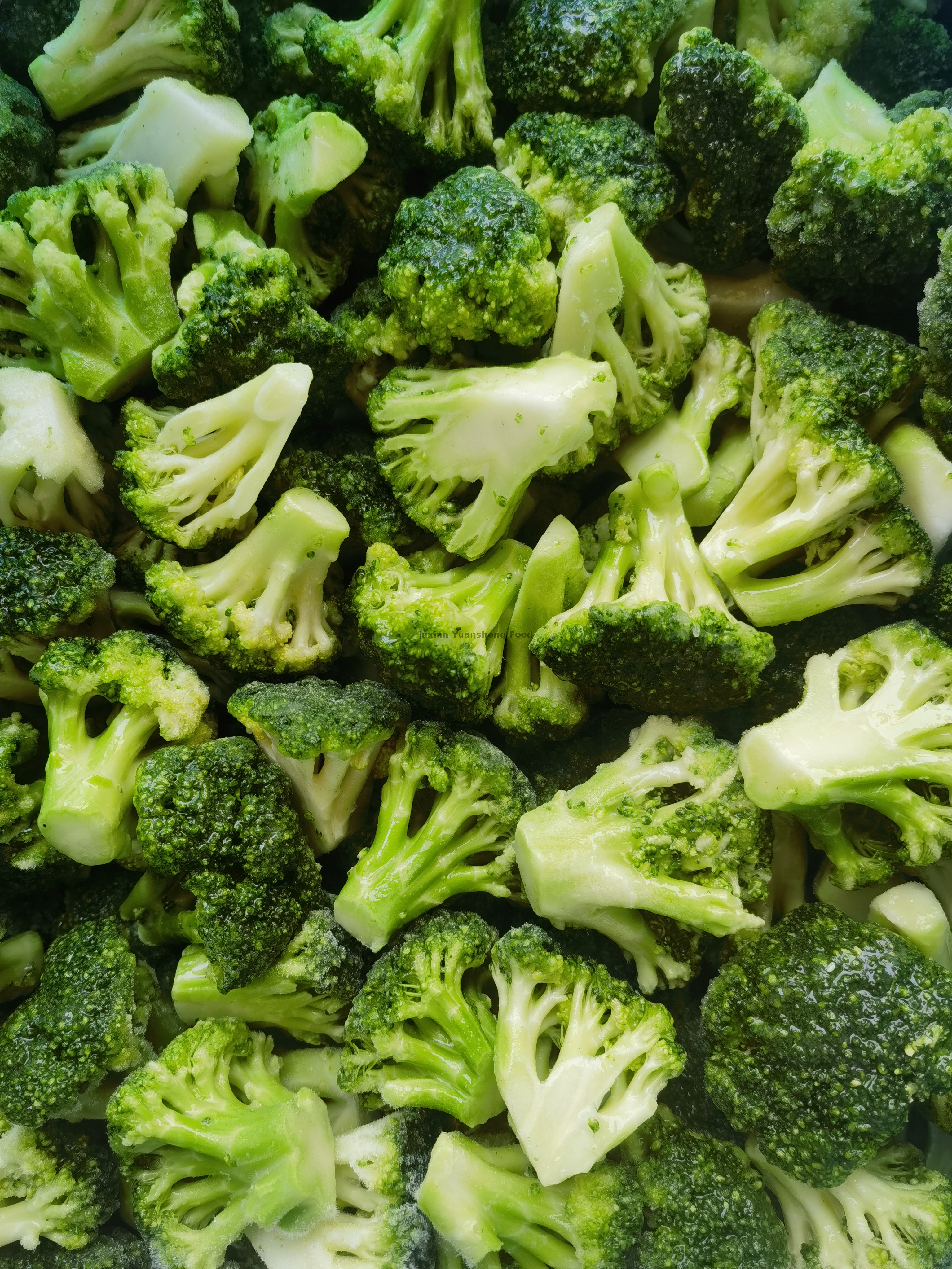 broccoli (1)