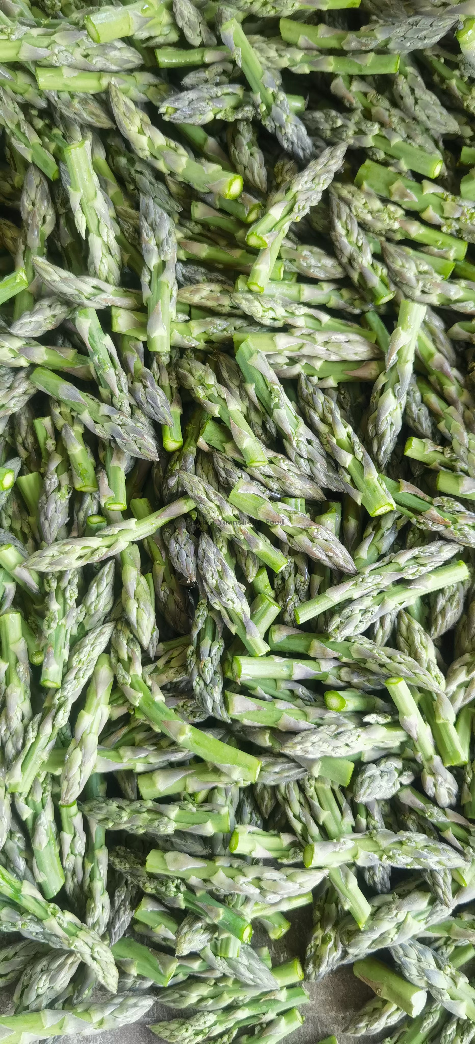 green asparagus tips& cuts (3)