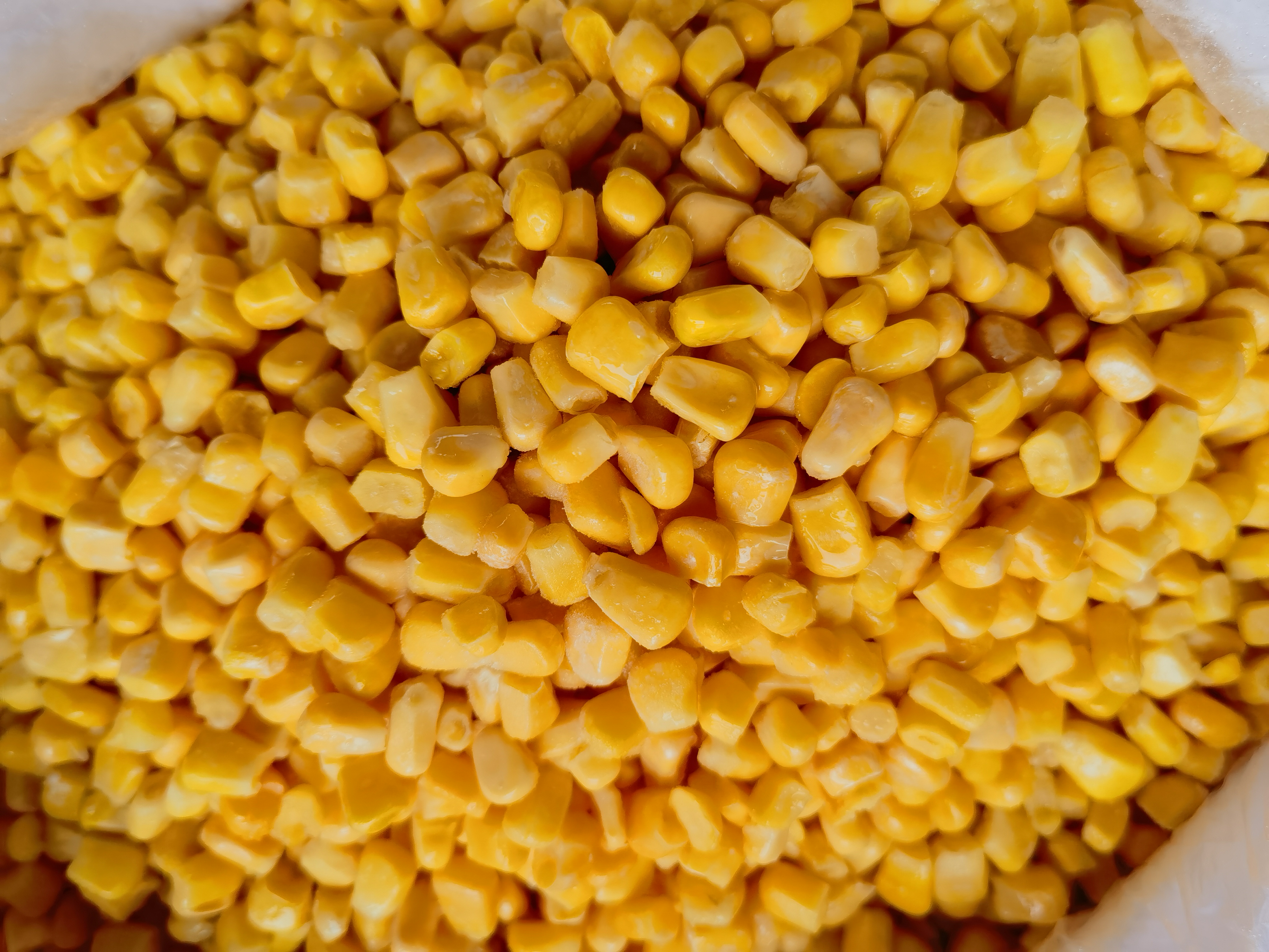 BRC Certificate Frozen Sweet Corn Kernel with High Quality