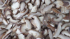 100% Natural Frozen Shiitake Mushroom Strips Rich in Nutrients